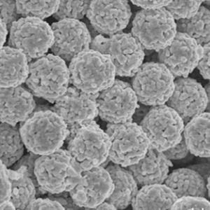 HPLC 固定相的都經(jīng)過的哪些變化？